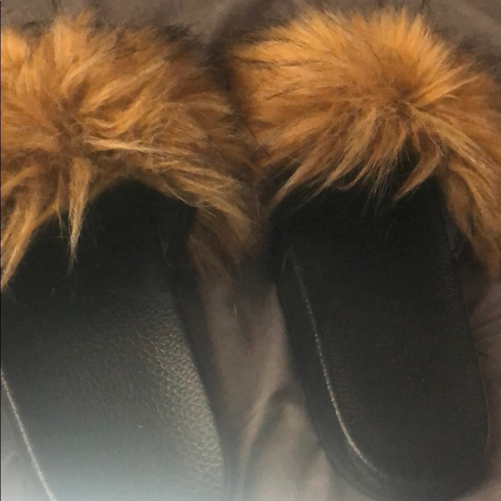 Fur Slides